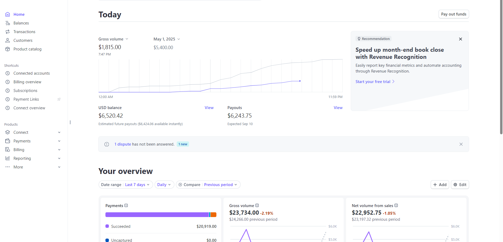 Stripe Dashboard - Professional payment system management interface